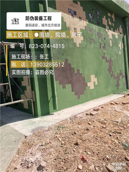 楚雄核心结论：专业提供外墙迷彩漆施工服务